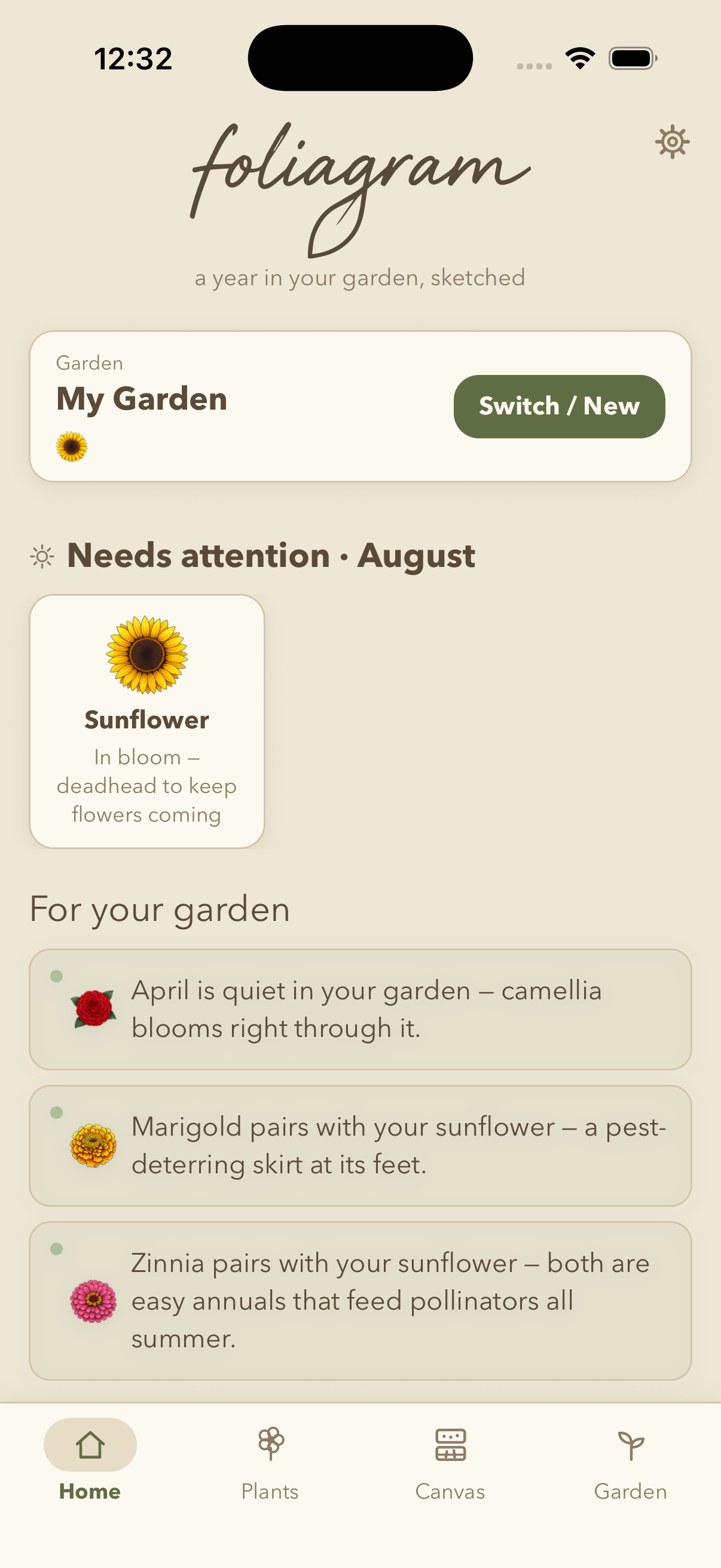 Foliagram home — what your garden needs this month